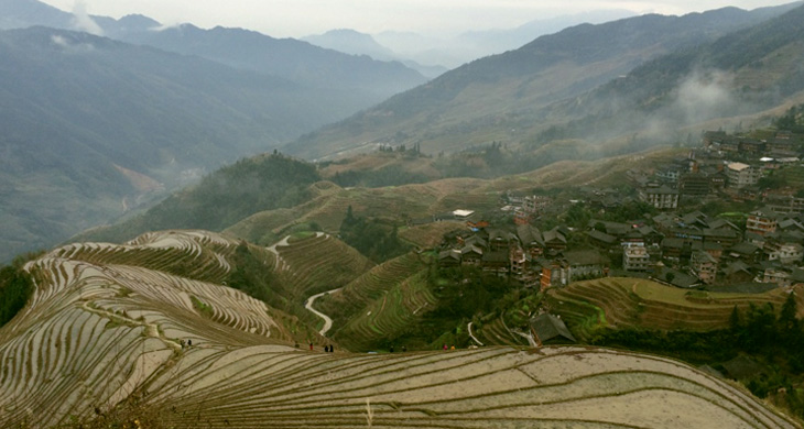 Longji rice terrace