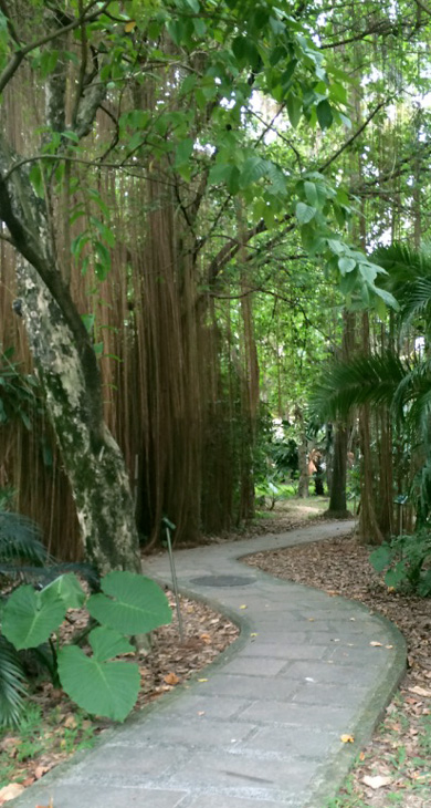 Path through park in Taiwan